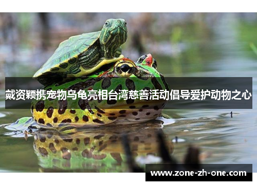 戴资颖携宠物乌龟亮相台湾慈善活动倡导爱护动物之心