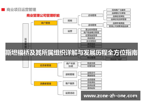 斯坦福桥及其所属组织详解与发展历程全方位指南
